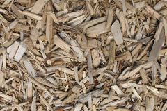 biomass boilers Cumdivock